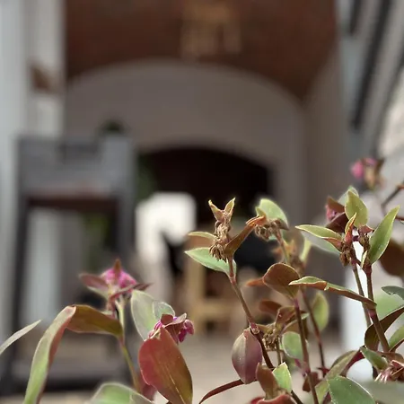 Alcocer Deluxe L Privacidad E Intimidad 度假居 Puebla de Alcocer