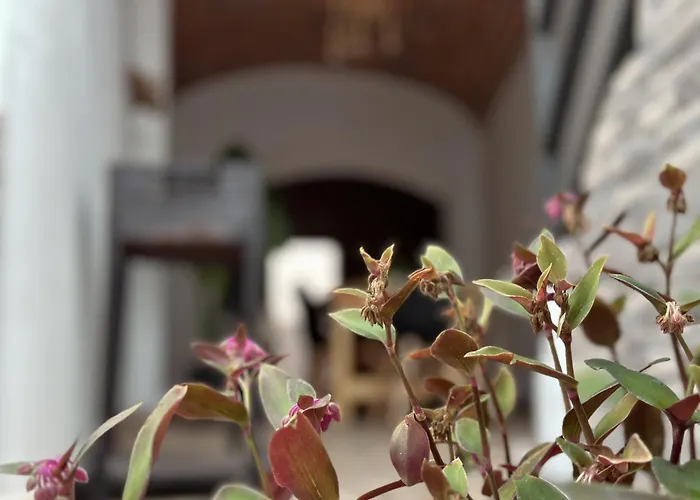 Alcocer Deluxe L Privacidad E Intimidad Casa de Férias Puebla de Alcocer