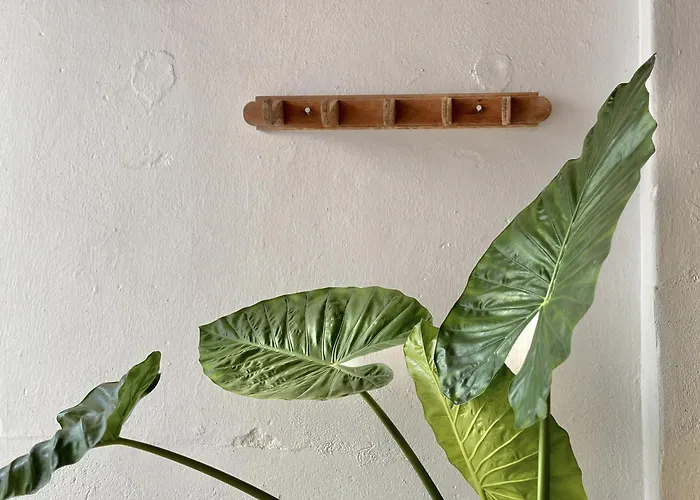 Alcocer Deluxe L Privacidad E Intimidad Casa de Férias